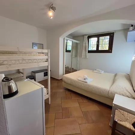 B&B Chorisia-3